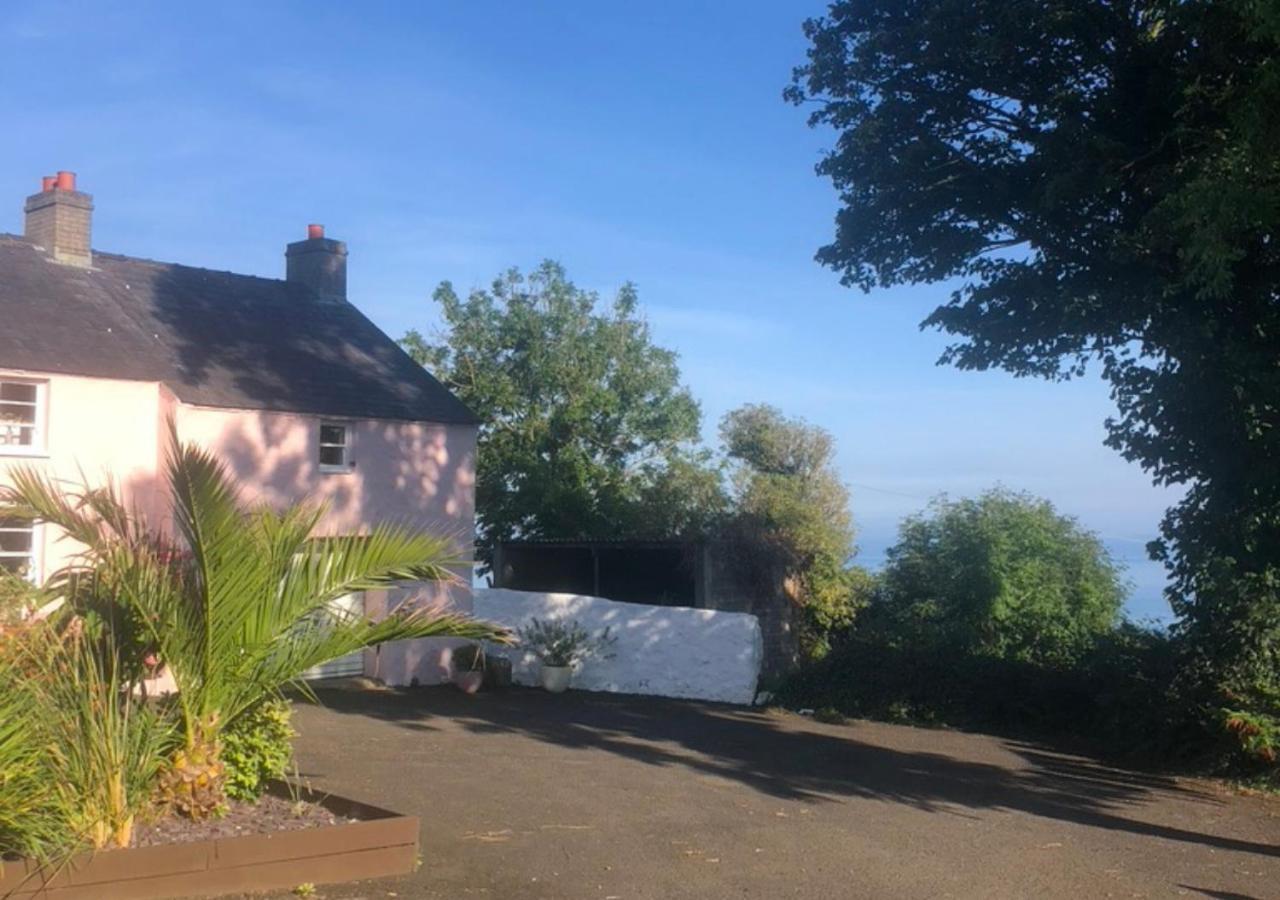 The Pink Cottage Upstairs Suite & Garden Summer Room Whitehead 외부 사진