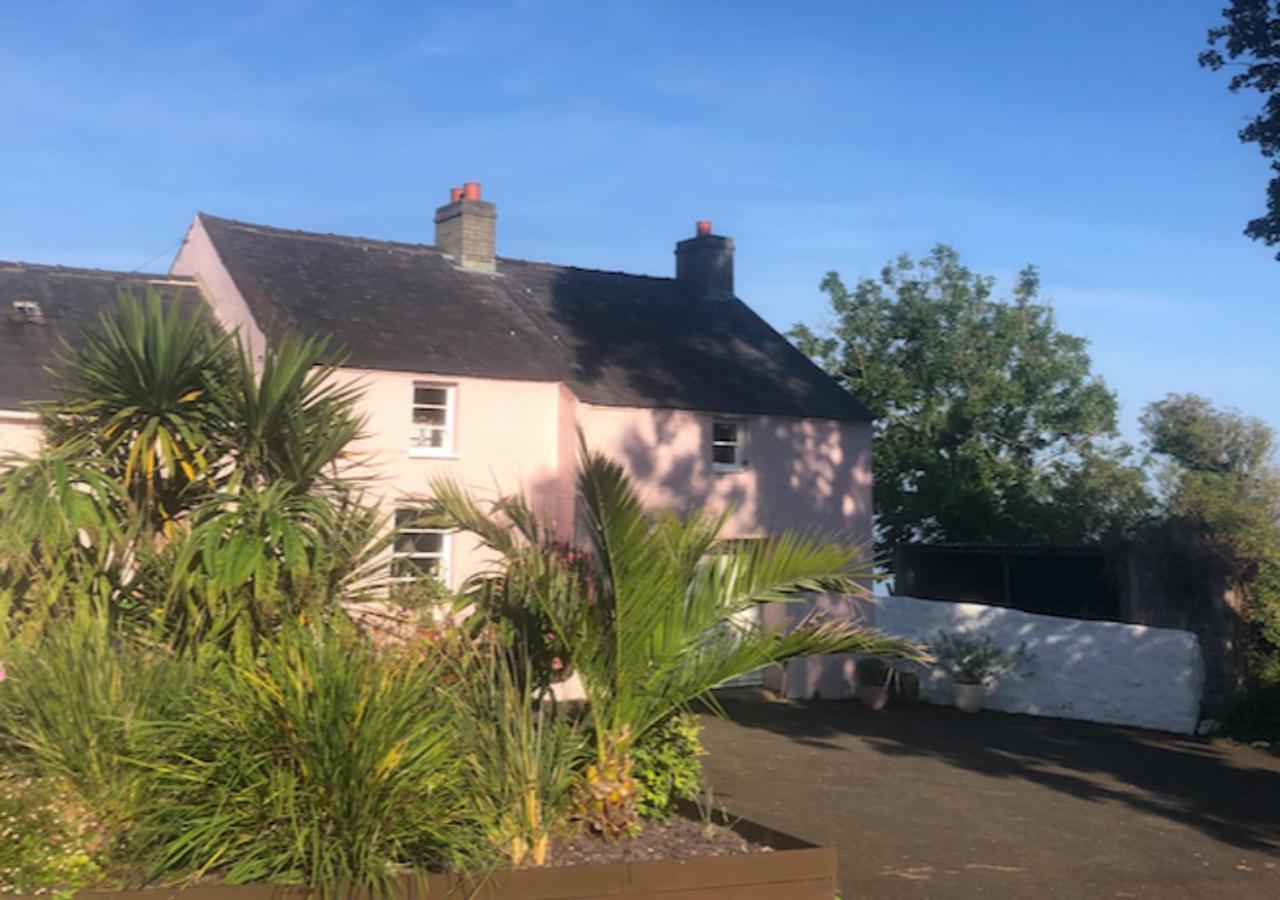 The Pink Cottage Upstairs Suite & Garden Summer Room Whitehead 외부 사진