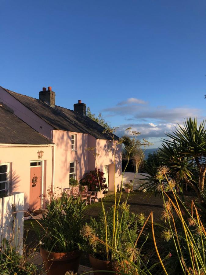 The Pink Cottage Upstairs Suite & Garden Summer Room Whitehead 외부 사진