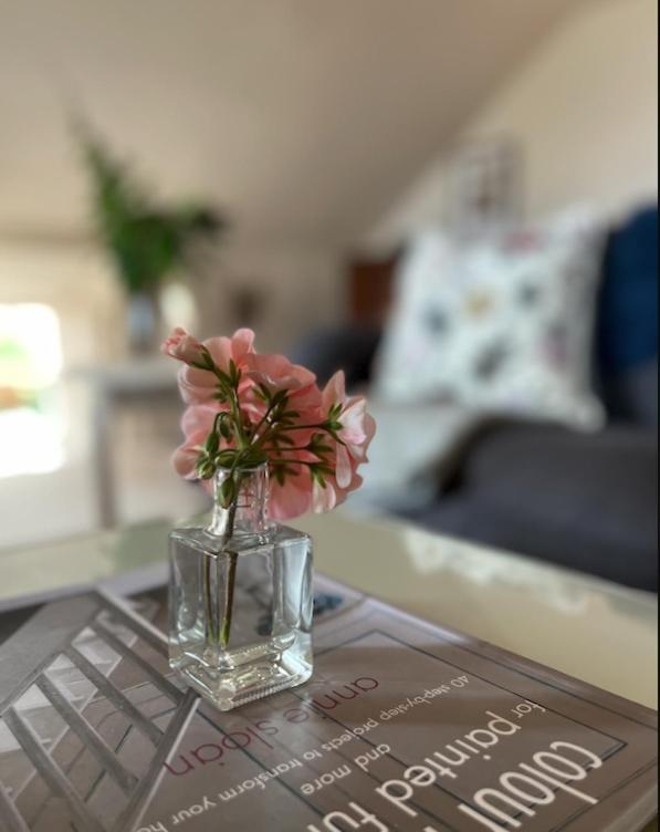 The Pink Cottage Upstairs Suite & Garden Summer Room Whitehead 외부 사진