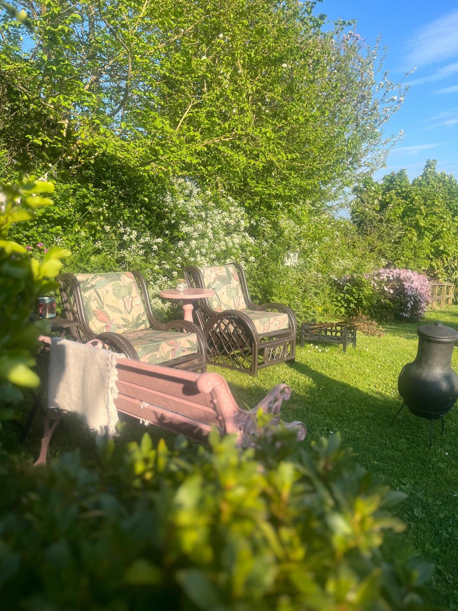 The Pink Cottage Upstairs Suite & Garden Summer Room Whitehead 외부 사진