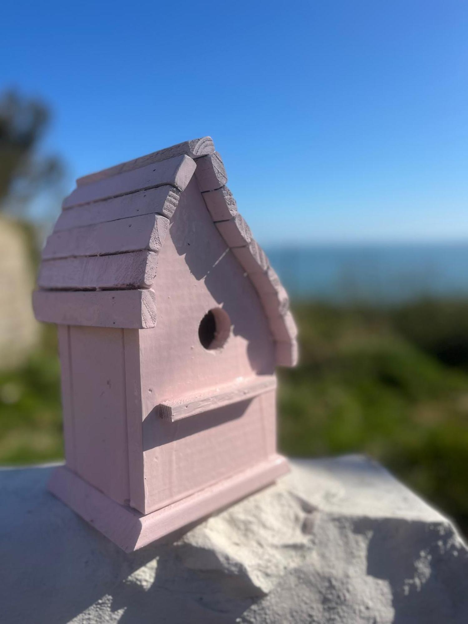 The Pink Cottage Upstairs Suite & Garden Summer Room Whitehead 외부 사진